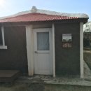 맨도롱 민박 | [제주도 여행] 커피곰 여행자, 하도리 독채민박, 광치기해변, 맨도롱또돗, 성산회관, 신천목장, 위미...