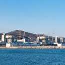 뉴스 ＞ 국방·군사 원안위, 월성2호기·한울1·2호기 안전성 평가 승인 이미지