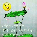 엔돌핀 - 14073 | 엔돌핀