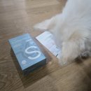 S펫 | 강아지피부영양제 펫누리 뉴트리션플랜S 반려견 급여 솔직한 후기입니다