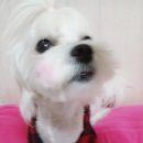 간지나개 | 스타일나개:) 7차 공구 후기