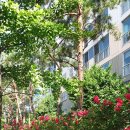 화성타운노인정 이미지