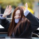 다연 티스토리