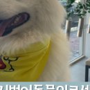 세우리동물병원 이미지