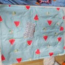 댕댕포유 이미지