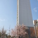 365두리마트 네이버블로그