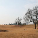 강동냉장사거리 교통섬(헤렌하우스 쪽) | 서울3-남동부, 상천벽해 강남에 어린 백제의 향기