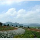 경관농장 이미지