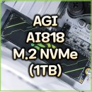 나래금속 | &#39;읽기는 빠르게, 쓰기는 합리적으로&#39;, AGI AI818 M.2 NVMe (1TB) 리뷰