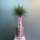 새한주유소 이미지