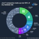 차트: 나스닥 100대 기업, 가중치 기준 이미지