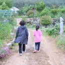 개똥골펜션 이미지