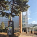 저단6 | [공지] [ IgA 신증 ] 사구체신염 신장 조직검사 후기