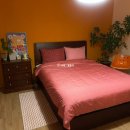 벽돌집순이 이미지