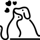 미즈펫