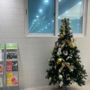 키즈웨일 아카데미(주) | [송도 키즈웨일] 올겨울은 물개로 변신! 겨울방학 수영 특강 등록하고 온 후기 (내돈내산)