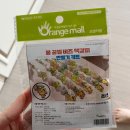 꼬물꼬물미술놀이(6세) | 6살 남아 만들기 키트 추천 유치원 어린이 학습교구 오렌지e몰