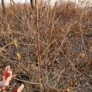 빛그린산단로 이미지