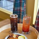 커피앤티스 | [안산] 자두에이드와 소금빵이 맛있는 신상카페 추천- 커피앤티스 솔직후기