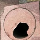 경기도 수원시 팔달구 고매로23,72번길 | [수원] 출생신고서 열람 및 혼여행🐽🍴