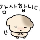 오아후헤어