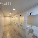 새싹피티 이미지