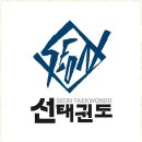 선태권도 이미지
