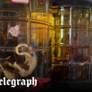 GROOMING 107 이미지