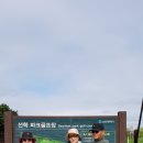 파크골프 이미지