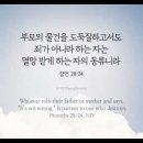 오늘의 '영어성경 사진'(905강) “누가 멸망받을 자와 동반자인가요?”(잠언 28장 24절) 이미지