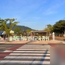 을숙도 인조잔디 축구장 이미지