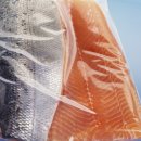 해동메디칼 이미지