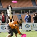 베스트 동물약품 이미지