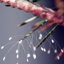 주식회사 스텝스인 이미지