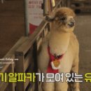 대기목장 이미지