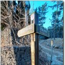 물안해수욕장 이미지