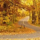 가을이네 이미지