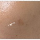 엘로디의원 이미지