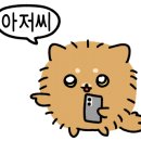 바우애견 이미지