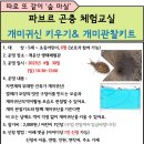 4.30(일)파브르 곤충 체험교실(개미귀신키우기&개미관찰키트)_5세~초등생 어린이 대상 이미지