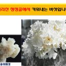 백세웰빙하우스