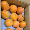 광산구-038 이미지