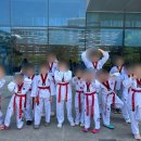 코리아 태비 태권도 이미지