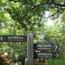 뜨란채작은도서관 | 둘레길, 전체 코스 안내, 둘레길 코스 : 독립문역 - 뜨란채아파트 - 능안정 - 메타세콰이어 숲길 - 황토...