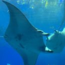 온나펜션 이미지