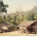 대나무집 이미지