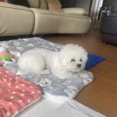 쿨펫동물병원 킨텍스점 이미지