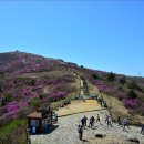 노고단-18 이미지