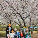 부두주차장버스승강장 | 군항제 벚꽃 여좌천, 경화역, 해군사관학교 군항11부두 : 무료주차장 정보, 셔틀버스 노선 및 정류장 안내