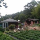 내곡3리 이미지